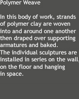 In this body of work, strands of polymer clay are woven into and around one another then draped over supporting armatures and baked. The individual sculptures are installed in series on the wall, on the floor and hanging in space..