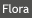 Flora