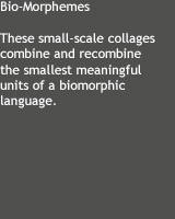 These small-scale collages combine and recombine the smallest meaningful units of a biomorphic language.
